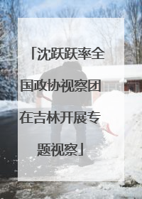 沈跃跃率全国政协视察团在吉林开展专题视察