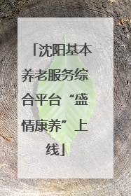 沈阳基本养老服务综合平台“盛情康养”上线