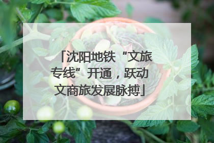 沈阳地铁“文旅专线”开通，跃动文商旅发展脉搏
