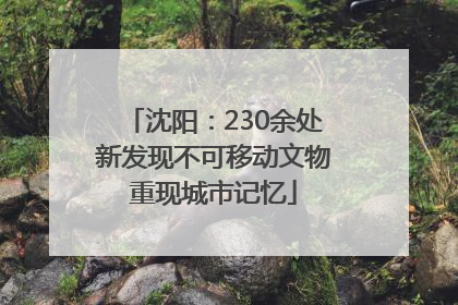 沈阳：230余处新发现不可移动文物重现城市记忆