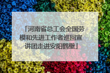 河南省总工会全国劳模和先进工作者巡回宣讲团走进安阳鹤壁