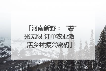 河南新野：“薯”光无限 订单农业激活乡村振兴密码
