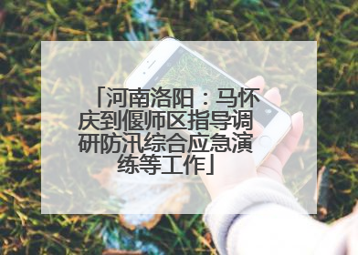 河南洛阳：马怀庆到偃师区指导调研防汛综合应急演练等工作