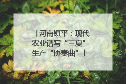 河南镇平：现代农业谱写“三夏”生产“协奏曲”