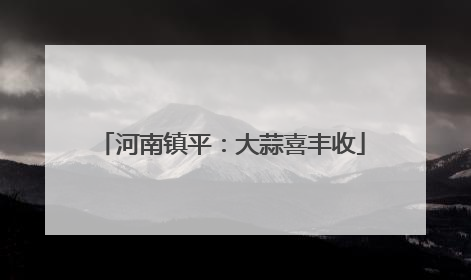 河南镇平：大蒜喜丰收