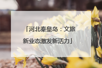 河北秦皇岛：文旅新业态激发新活力