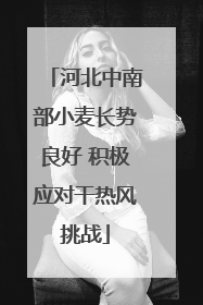 河北中南部小麦长势良好 积极应对干热风挑战
