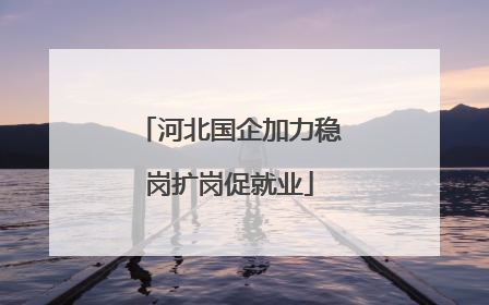 河北国企加力稳岗扩岗促就业