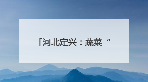 河北定兴：蔬菜“蔬”写产业新篇章