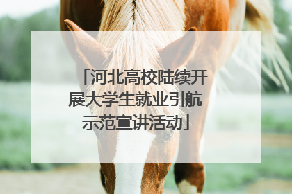 河北高校陆续开展大学生就业引航示范宣讲活动