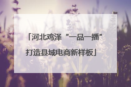 河北鸡泽“一品一播”打造县域电商新样板