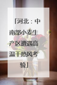 河北：中南部小麦生产区遭遇高温干热风考验