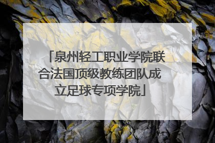 泉州轻工职业学院联合法国顶级教练团队成立足球专项学院