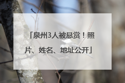泉州3人被悬赏！照片、姓名、地址公开