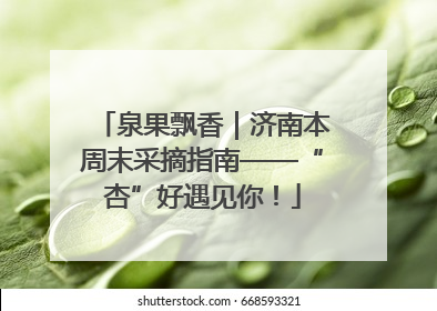 泉果飘香｜济南本周末采摘指南——“杏”好遇见你！