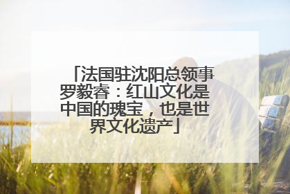 法国驻沈阳总领事罗毅睿：红山文化是中国的瑰宝，也是世界文化遗产