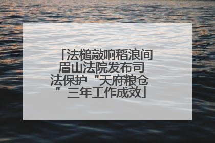 法槌敲响稻浪间 眉山法院发布司法保护“天府粮仓”三年工作成效