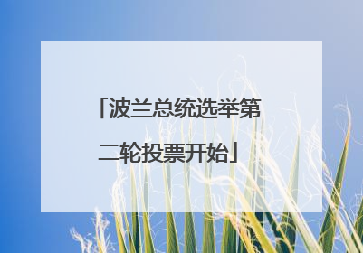 波兰总统选举第二轮投票开始