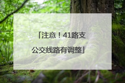 注意！41路支公交线路有调整