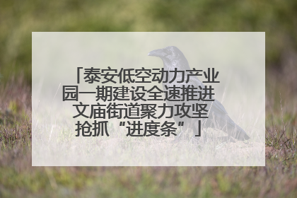 泰安低空动力产业园一期建设全速推进 文庙街道聚力攻坚抢抓“进度条”
