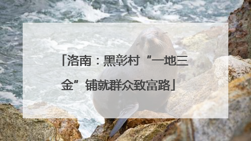 洛南：黑彰村“一地三金”铺就群众致富路