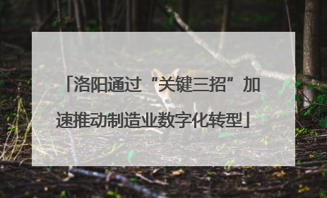 洛阳通过“关键三招”加速推动制造业数字化转型