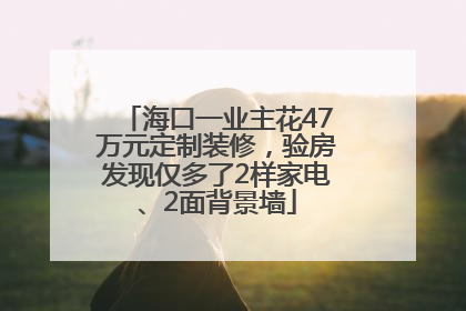 海口一业主花47万元定制装修，验房发现仅多了2样家电、2面背景墙