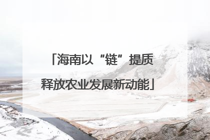 海南以“链”提质 释放农业发展新动能