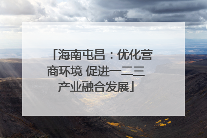 海南屯昌：优化营商环境 促进一二三产业融合发展