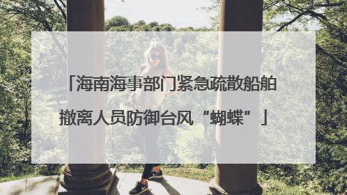 海南海事部门紧急疏散船舶撤离人员防御台风“蝴蝶”