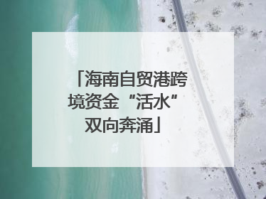海南自贸港跨境资金“活水”双向奔涌