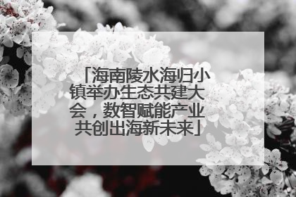 海南陵水海归小镇举办生态共建大会，数智赋能产业共创出海新未来