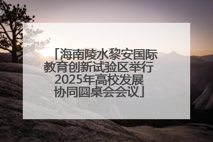 海南陵水黎安国际教育创新试验区举行2025年高校发展协同圆桌会会议