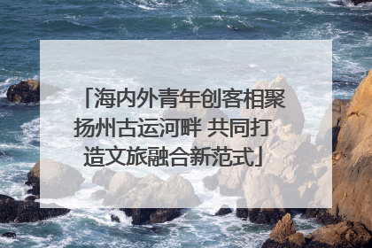 海内外青年创客相聚扬州古运河畔 共同打造文旅融合新范式