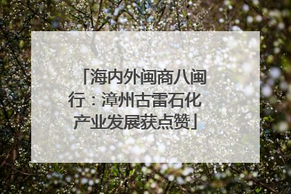 海内外闽商八闽行：漳州古雷石化产业发展获点赞