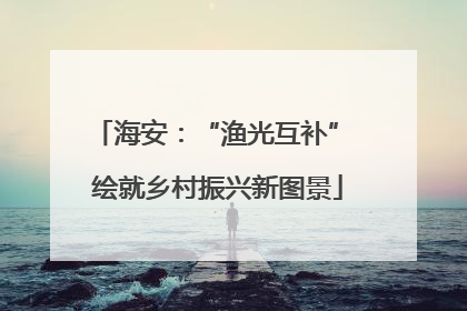 海安：“渔光互补” 绘就乡村振兴新图景
