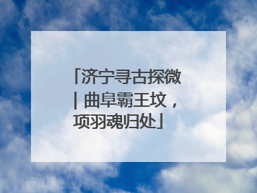 济宁寻古探微｜曲阜霸王坟，项羽魂归处