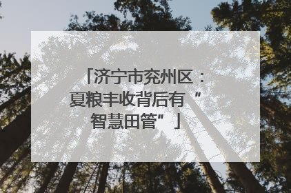 济宁市兖州区：夏粮丰收背后有“智慧田管”