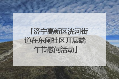 济宁高新区洸河街道在东闸社区开展端午节慰问活动