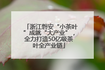 浙江磐安“小茶叶”成就“大产业”，全力打造50亿级茶叶全产业链