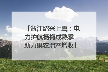 浙江绍兴上虞：电力护航杨梅成熟季 助力果农增产增收