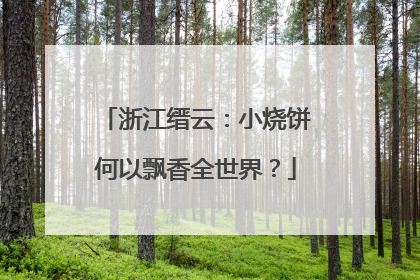 浙江缙云：小烧饼何以飘香全世界？