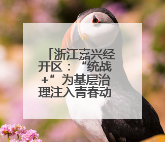 浙江嘉兴经开区：“统战+”为基层治理注入青春动力