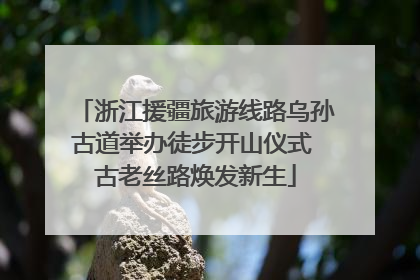 浙江援疆旅游线路乌孙古道举办徒步开山仪式 古老丝路焕发新生