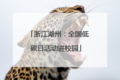 浙江湖州：全国低碳日活动进校园