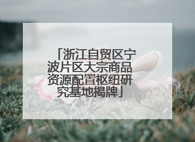 浙江自贸区宁波片区大宗商品资源配置枢纽研究基地揭牌