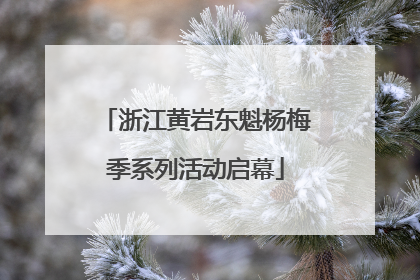 浙江黄岩东魁杨梅季系列活动启幕