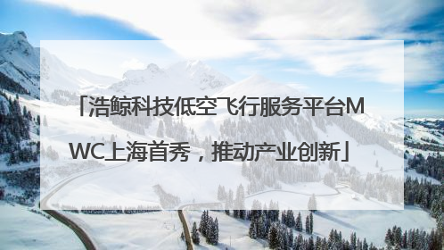 浩鲸科技低空飞行服务平台MWC上海首秀，推动产业创新