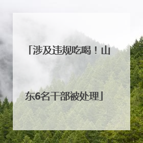 涉及违规吃喝！山东6名干部被处理