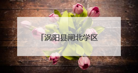 涡阳县闸北学区中心学校举行科技活动周启动仪式